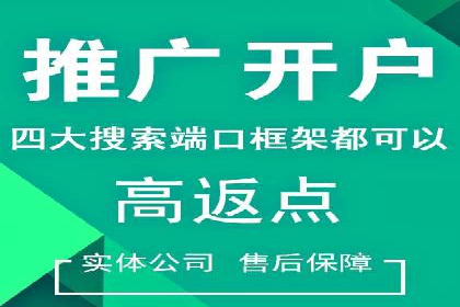 金融行业SEM运营托管的策略与效果